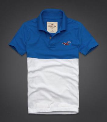 Hollister Men Shirts-447